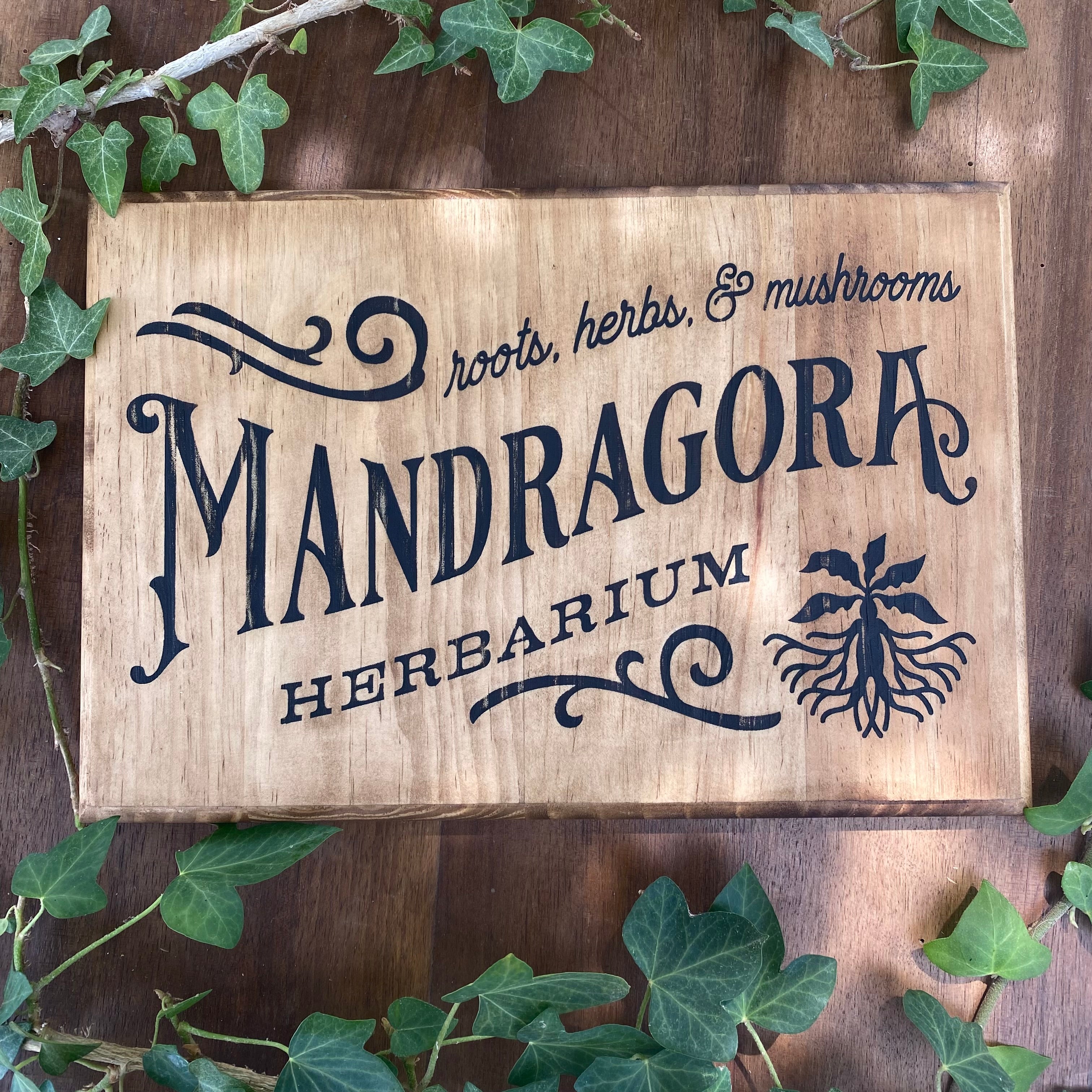 Panneau décoratif en bois « Mandragore »