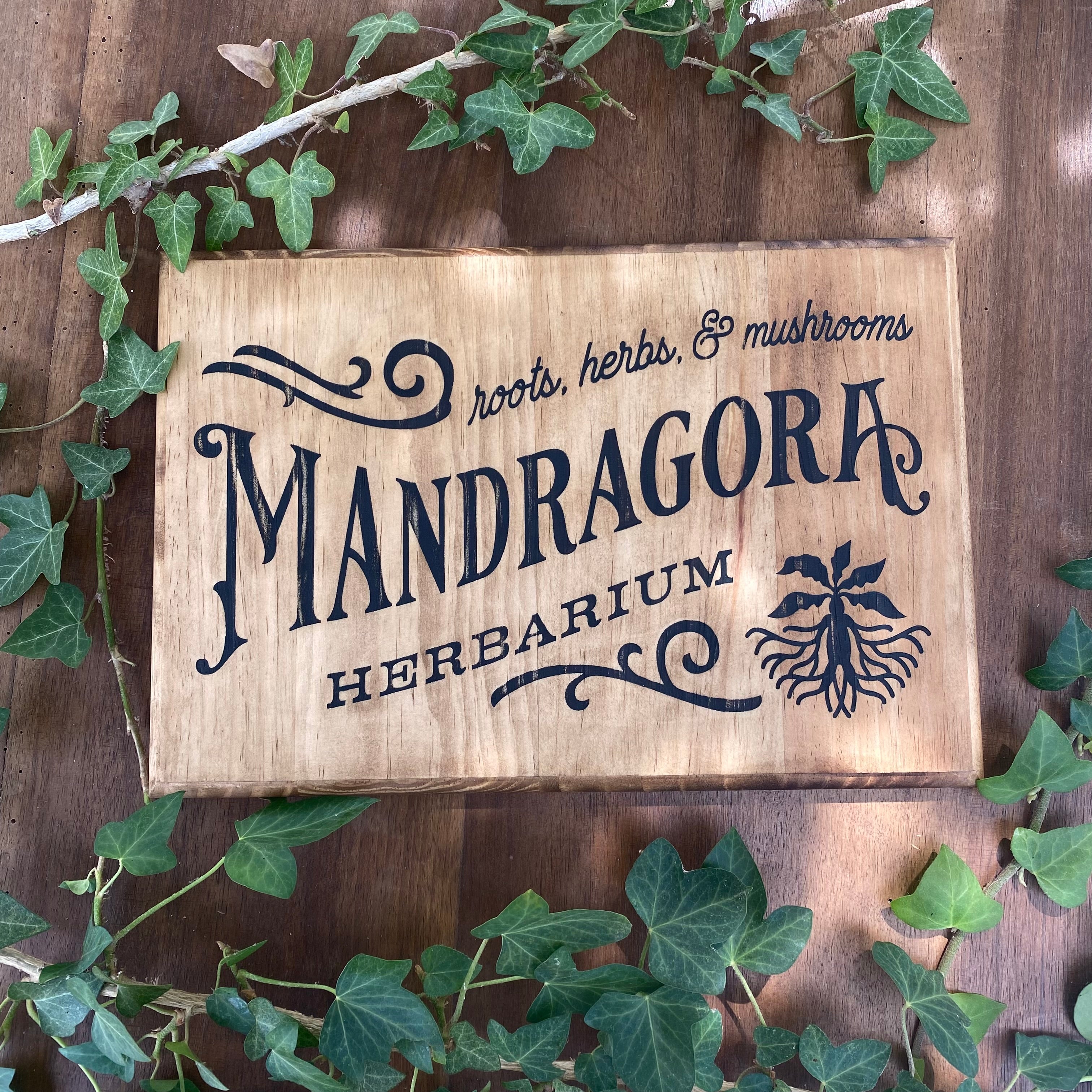 Panneau décoratif en bois « Mandragore »